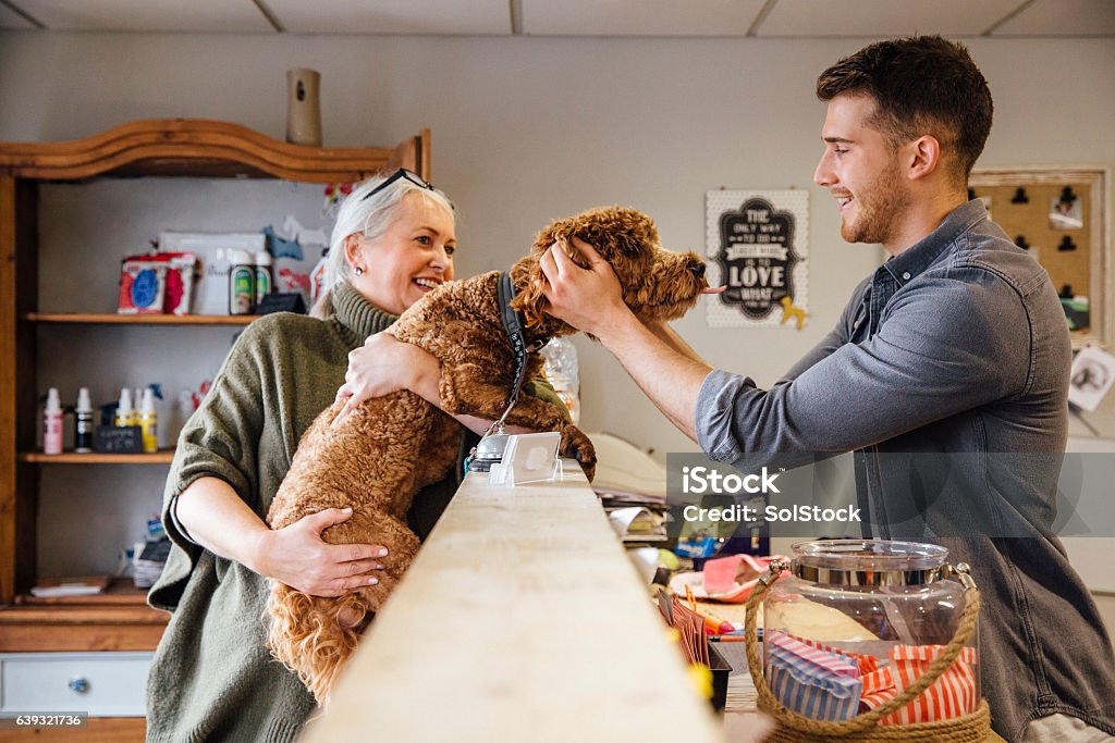 Mature woman is at the reception in the dog grooming salon with her pet cockapoo. The dog is leaning over the counter to receive affection from the dog groomer.