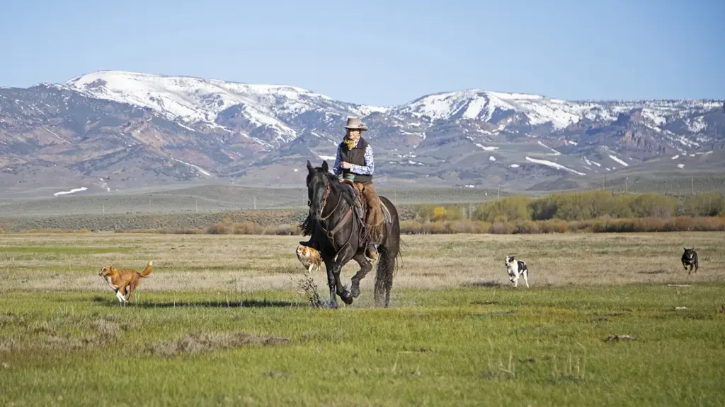 Riding a horse with mountains in background