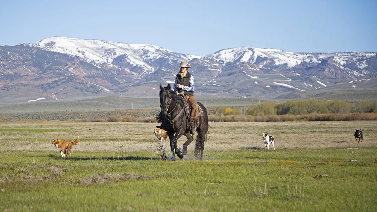 Riding a horse with mountains in background